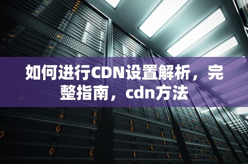 如何进行CDN设置解析，完整指南，cdn方法