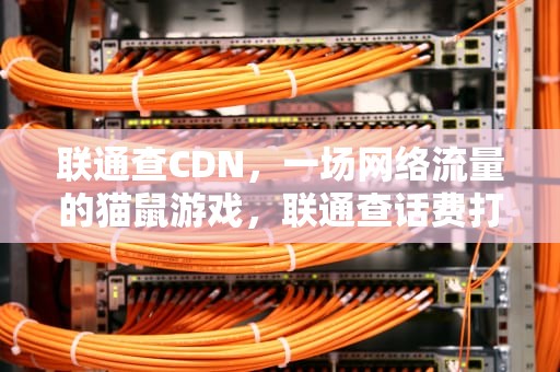 联通查CDN，一场网络流量的猫鼠游戏，联通查话费打什么号