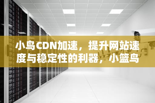 小鸟CDN加速，提升网站速度与稳定性的利器，小篮鸟加速器