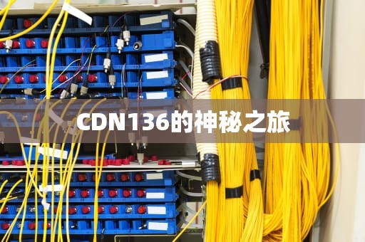 CDN136的神秘之旅