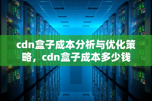 cdn盒子成本分析与优化策略，cdn盒子成本多少钱
