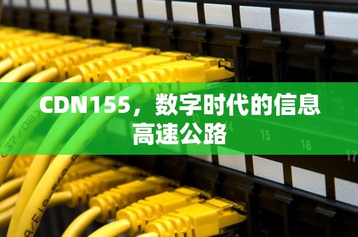 CDN155，数字时代的信息高速公路
