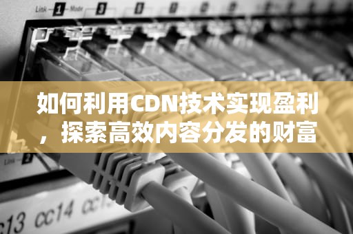 如何利用CDN技术实现盈利，探索高效内容分发的财富密码，cdn 赚钱