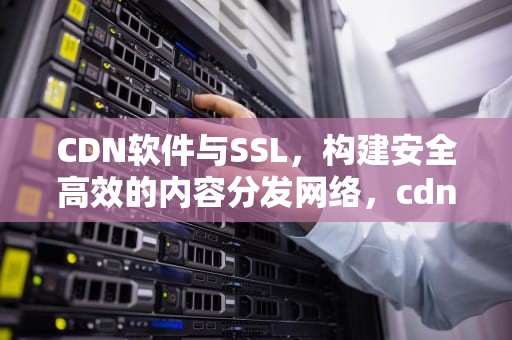 CDN软件与SSL，构建安全高效的内容分发网络，cdn软件下载