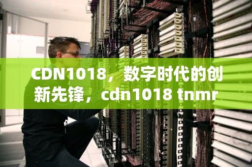 CDN1018，数字时代的创新先锋，cdn1018 tnmr