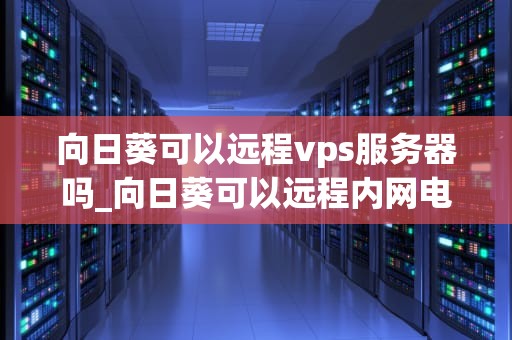 向日葵可以远程vps服务器吗_向日葵可以远程内网电脑吗_向日葵远程控制软件在VPS服务器中的应用