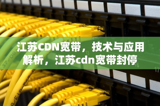 江苏CDN宽带，技术与应用解析，江苏cdn宽带封停