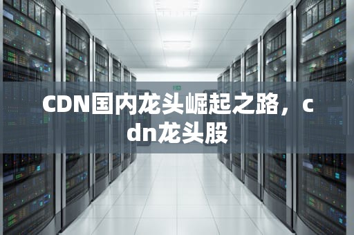 CDN国内龙头崛起之路，cdn龙头股