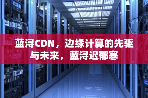 蓝浔CDN，边缘计算的先驱与未来，蓝浔迟郁寒
