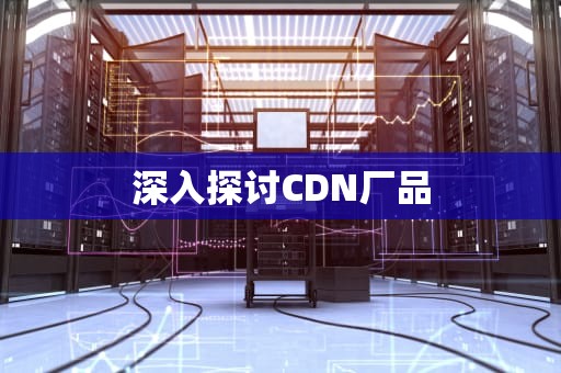 深入探讨CDN厂品