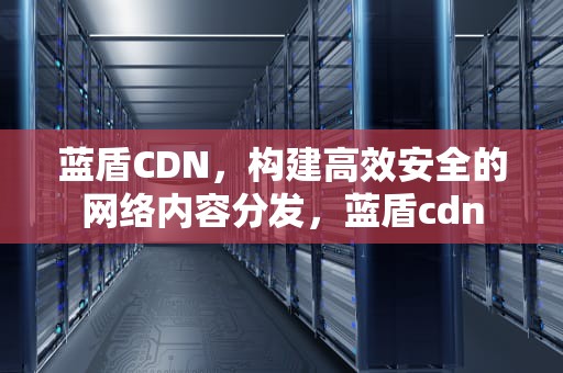 蓝盾CDN，构建高效安全的网络内容分发，蓝盾cdn