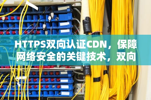 HTTPS双向认证CDN，保障网络安全的关键技术，双向认证协议
