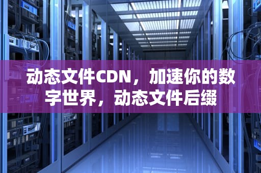 动态文件CDN，加速你的数字世界，动态文件后缀