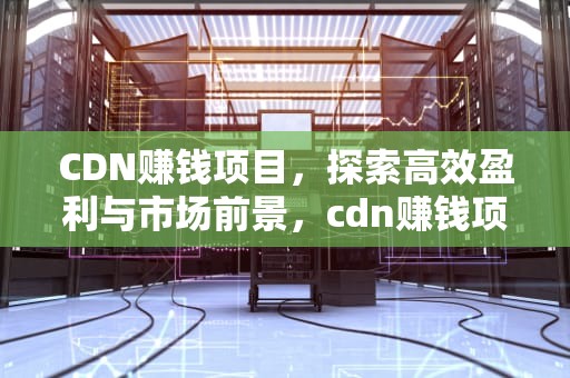 CDN赚钱项目，探索高效盈利与市场前景，cdn赚钱项目骗局