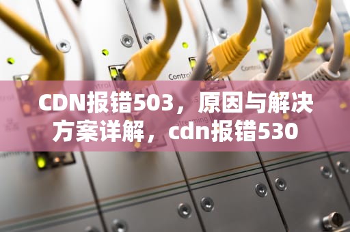 CDN报错503，原因与解决方案详解，cdn报错530