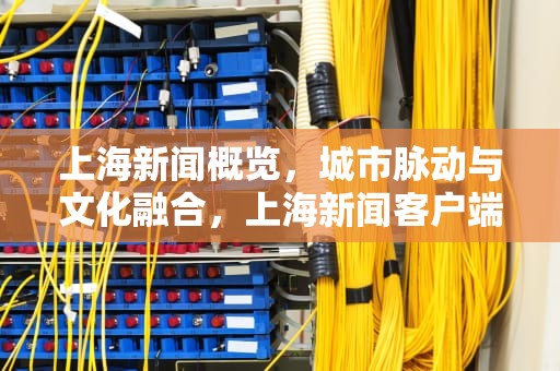 上海新闻概览，城市脉动与文化融合，上海新闻客户端