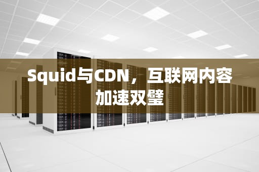 Squid与CDN，互联网内容加速双璧