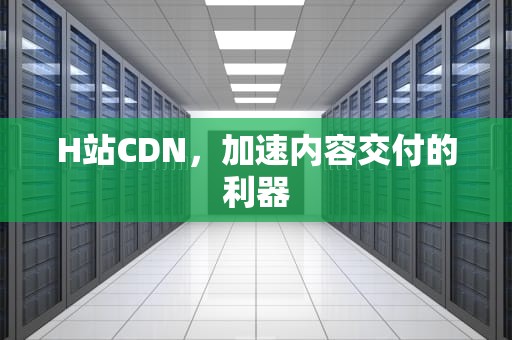 H站CDN，加速内容交付的利器