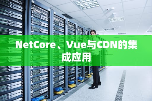 NetCore、Vue与CDN的集成应用