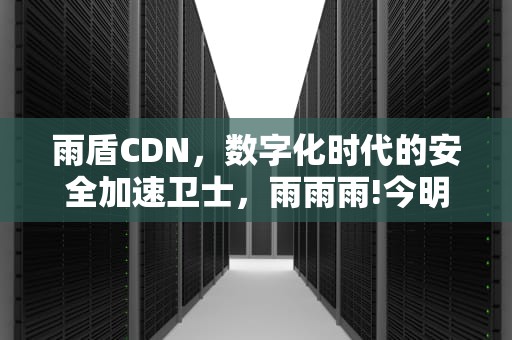 雨盾CDN，数字化时代的安全加速卫士，雨雨雨!今明两天山东天气情况有变