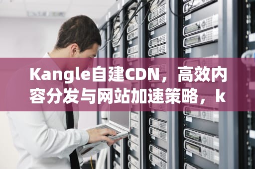 Kangle自建CDN，高效内容分发与网站加速策略，kangle自建cdn打死自动切换