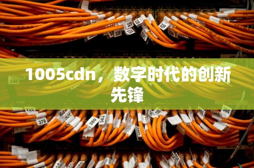 1005cdn，数字时代的创新先锋