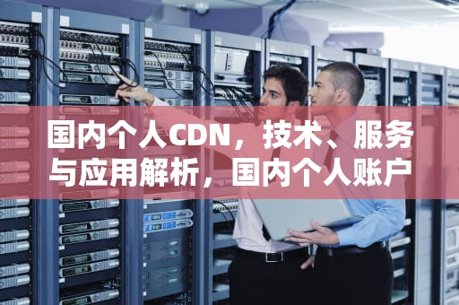 国内个人CDN，技术、服务与应用解析，国内个人账户可以收美金吗