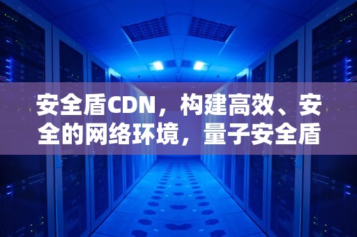 安全盾CDN，构建高效、安全的网络环境，量子安全盾