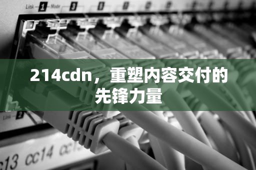 214cdn，重塑内容交付的先锋力量
