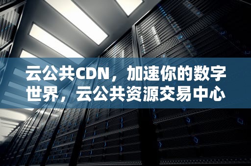 云公共CDN，加速你的数字世界，云公共资源交易中心