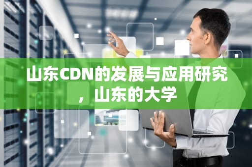 山东CDN的发展与应用研究，山东的大学