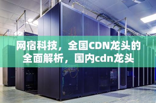 网宿科技，全国CDN龙头的全面解析，国内cdn龙头