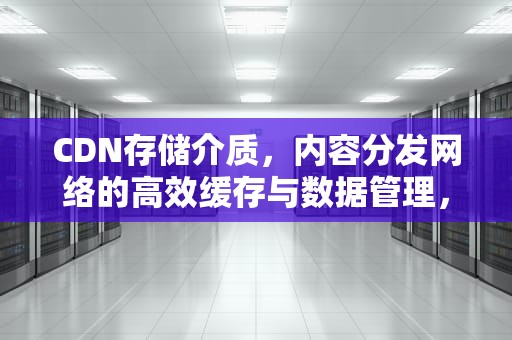 CDN存储介质，内容分发网络的高效缓存与数据管理，cdn文件存储