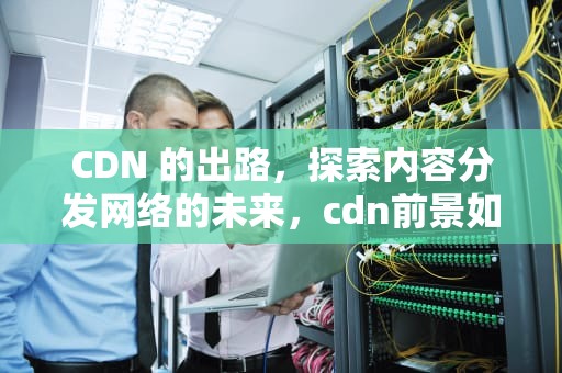 CDN 的出路，探索内容分发网络的未来，cdn前景如何