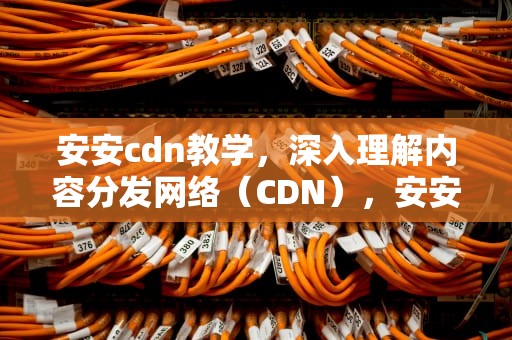 安安cdn教学，深入理解内容分发网络（CDN），安安教学网
