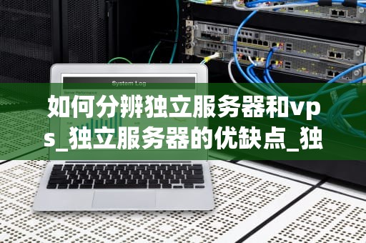 如何分辨独立服务器和vps_独立服务器的优缺点_独立服务器与VPS的区别及如何分辨