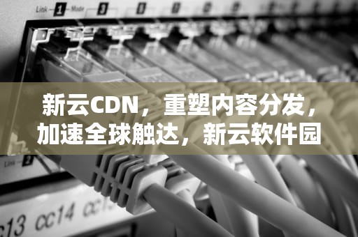 新云CDN，重塑内容分发，加速全球触达，新云软件园