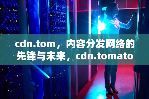 cdn.tom，内容分发网络的先锋与未来，cdn.tomatos.cn