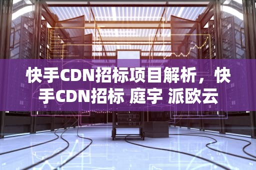 快手CDN招标项目解析，快手CDN招标 庭宇 派欧云