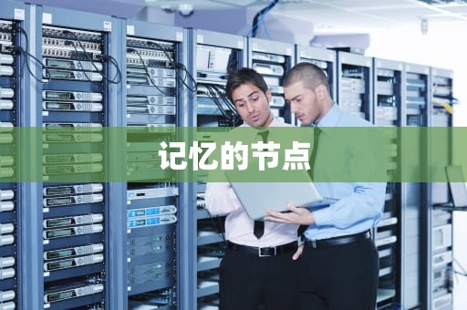 记忆的节点