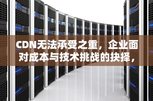 CDN无法承受之重，企业面对成本与技术挑战的抉择，昱字一般人用不起
