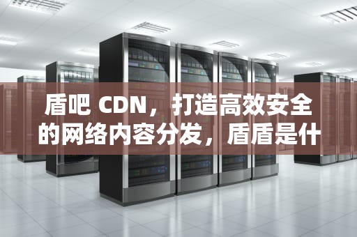 盾吧 CDN，打造高效安全的网络内容分发，盾盾是什么公司