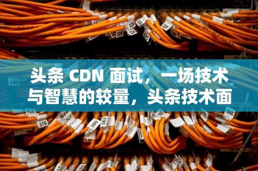 头条 CDN 面试，一场技术与智慧的较量，头条技术面试