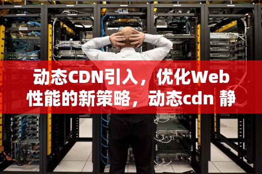 动态CDN引入，优化Web性能的新策略，动态cdn 静态cdn