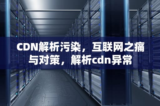 CDN解析污染，互联网之痛与对策，解析cdn异常