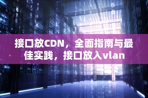 接口放CDN，全面指南与最佳实践，接口放入vlan