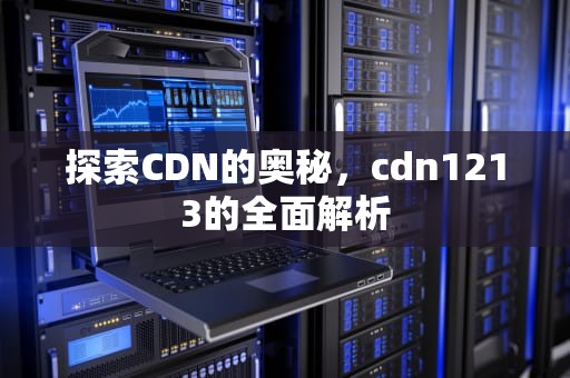 探索CDN的奥秘，cdn1213的全面解析