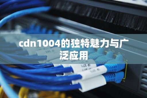 cdn1004的独特魅力与广泛应用