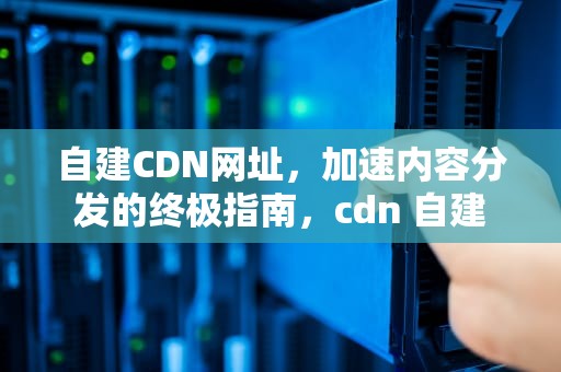 自建CDN网址，加速内容分发的终极指南，cdn 自建