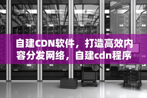 自建CDN软件，打造高效内容分发网络，自建cdn程序